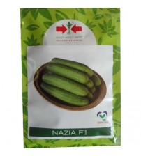 Cucumber Nazia